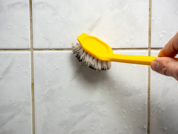 Best Mold Testing  in Erma, NJ